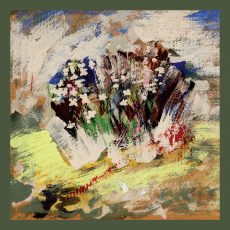 Wildflowers